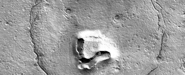 Bear Faced Crater On Mars