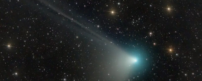 Blue blazing comet ZTF trailing white across a starscape