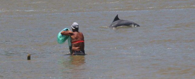 Human And Dolphin Fishing