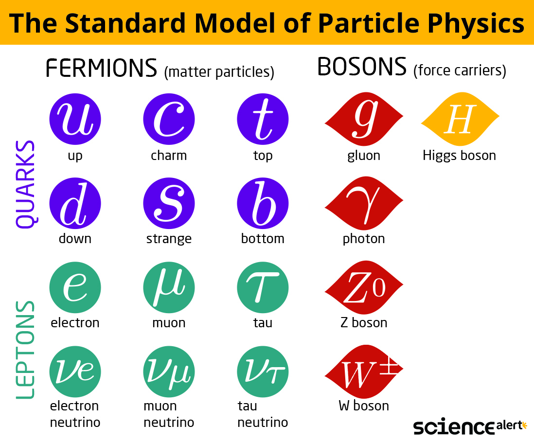 standard model of particle physics chart